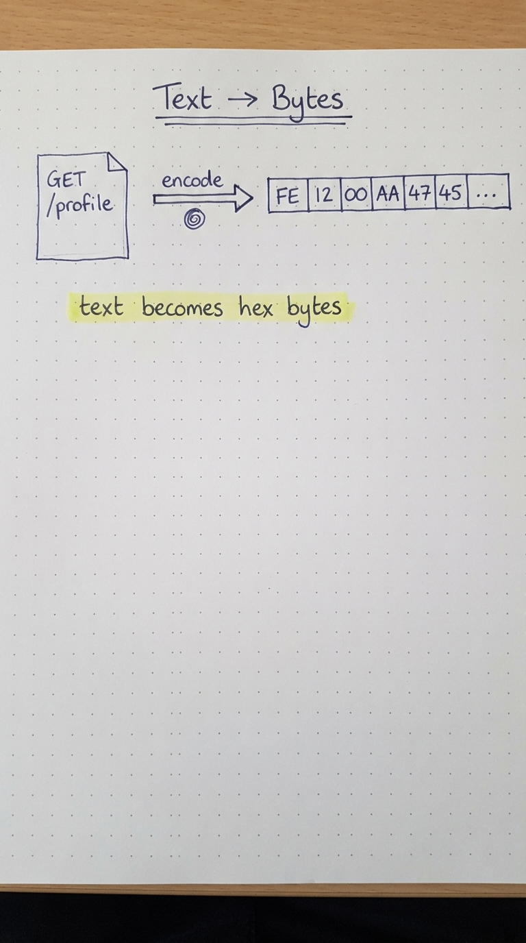 HTTP text encoded into hexadecimal bytes.