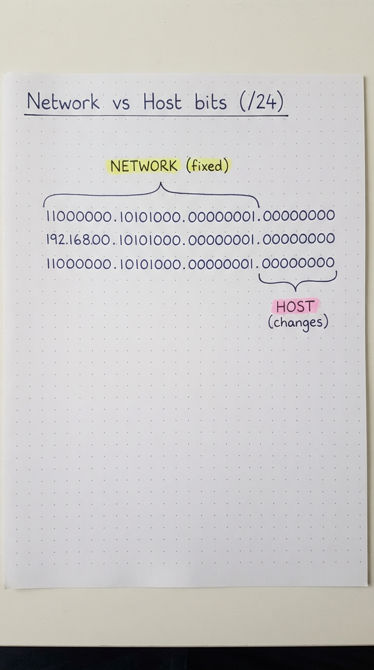 IP bits with the first 24 bracketed as NETWORK (fixed) and the last 8 as HOST (changes).