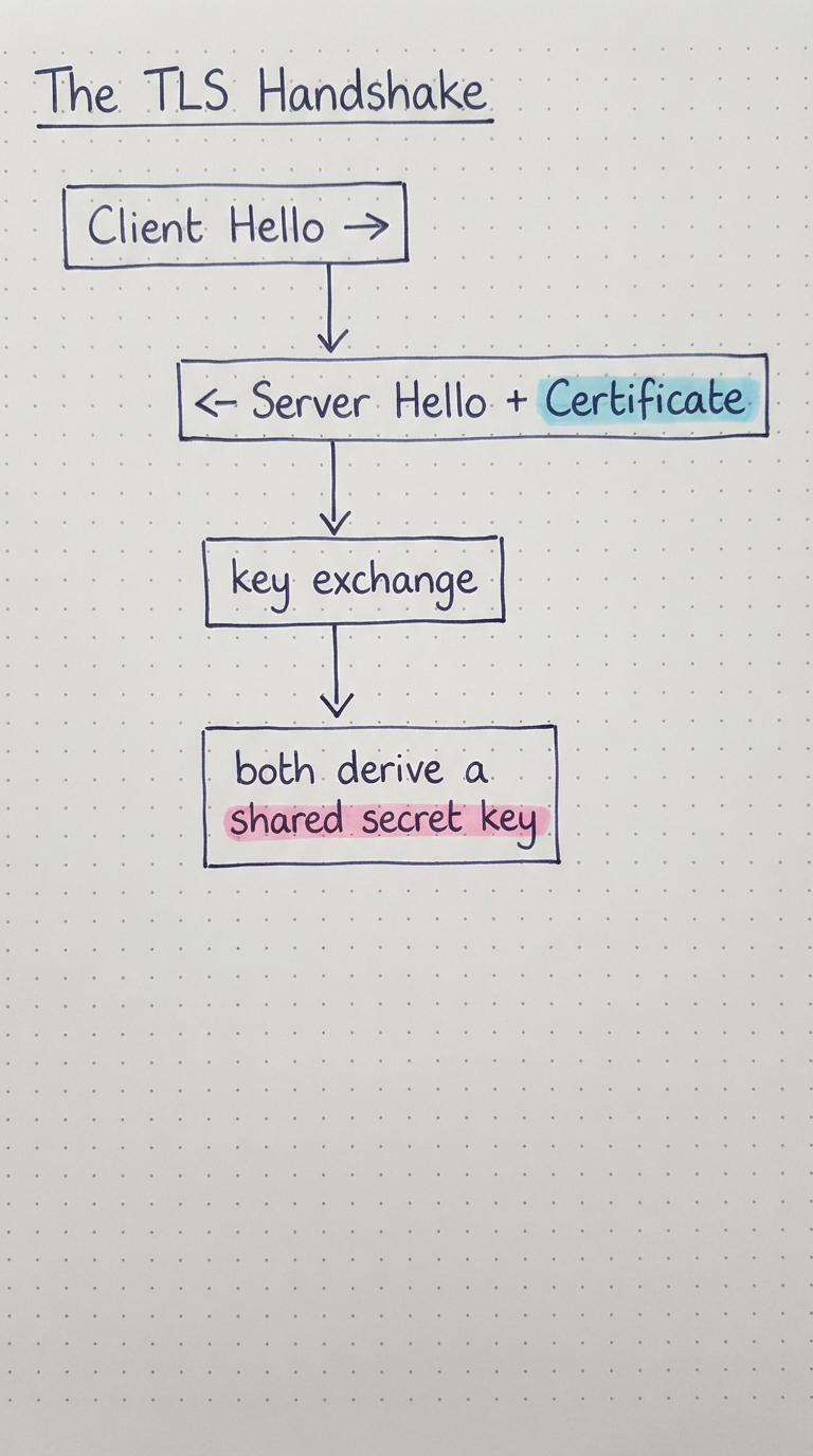 Client Hello, Server Hello + Certificate, key exchange, shared key derived.
